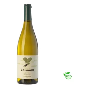 L'Efecte Volador Blanc